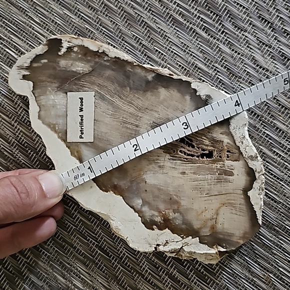 DUSKY PETRIFIED WOOD Slice, Stone Plate, Petrified Wood - Picture 9 of 9